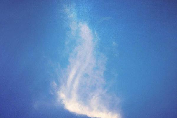 uu �����е���ѧ