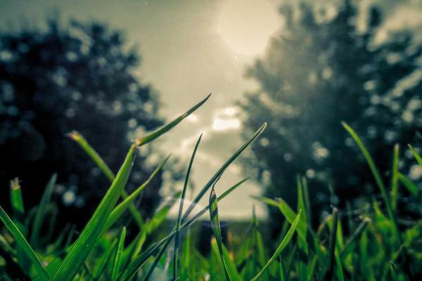 u2 �������